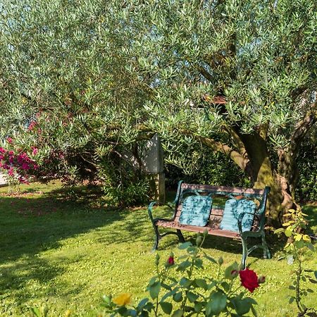 B&B Carmela Ουμάγκ Εξωτερικό φωτογραφία