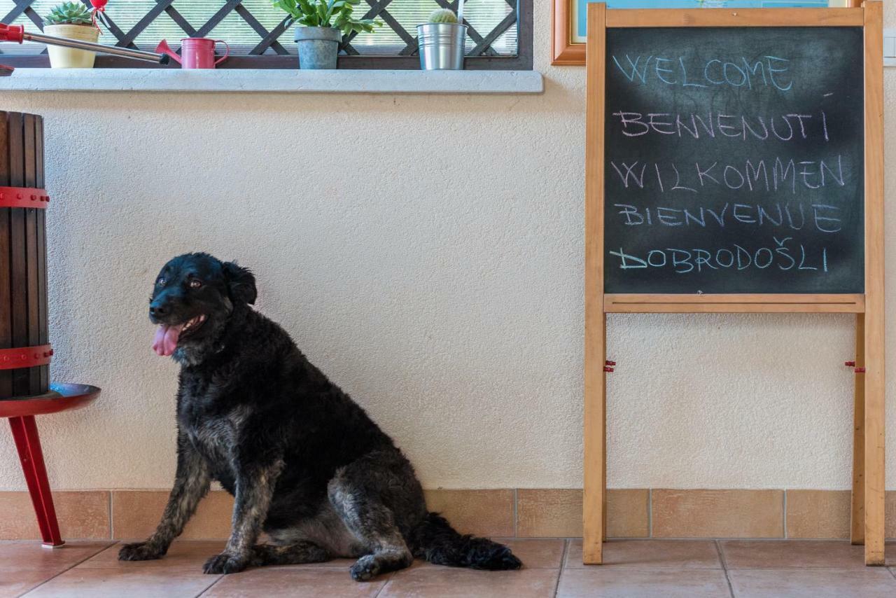 B&B Carmela Ουμάγκ Εξωτερικό φωτογραφία